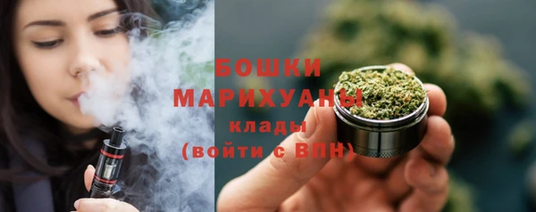 прущая мука Арсеньев