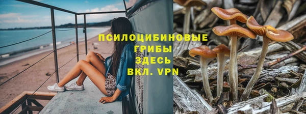 мяу мяу мука Армянск