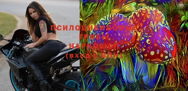 дмт Аркадак