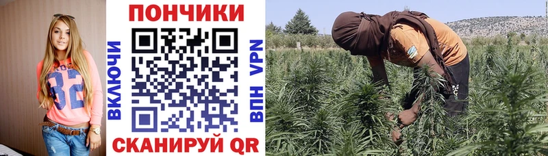 Канабис сатива  как найти наркотики  Армянск 